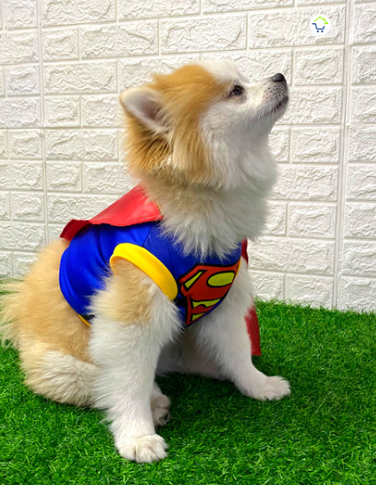 Disfraz Mascotas Súper Man
