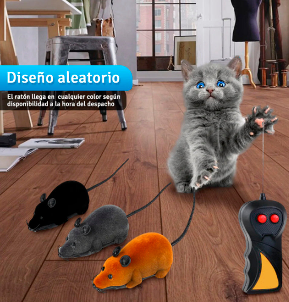NUEVO RATÓN A CONTROL REMOTO PARA GATOS