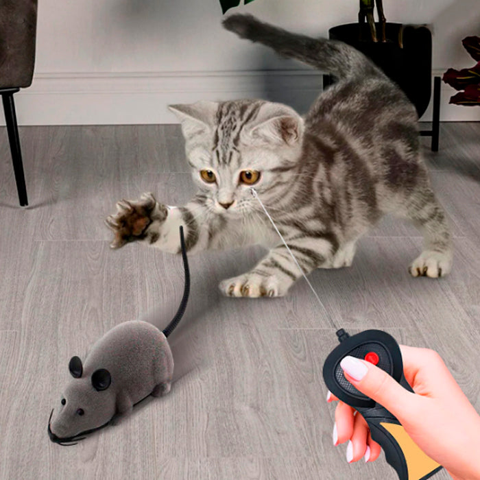 NUEVO RATÓN A CONTROL REMOTO PARA GATOS