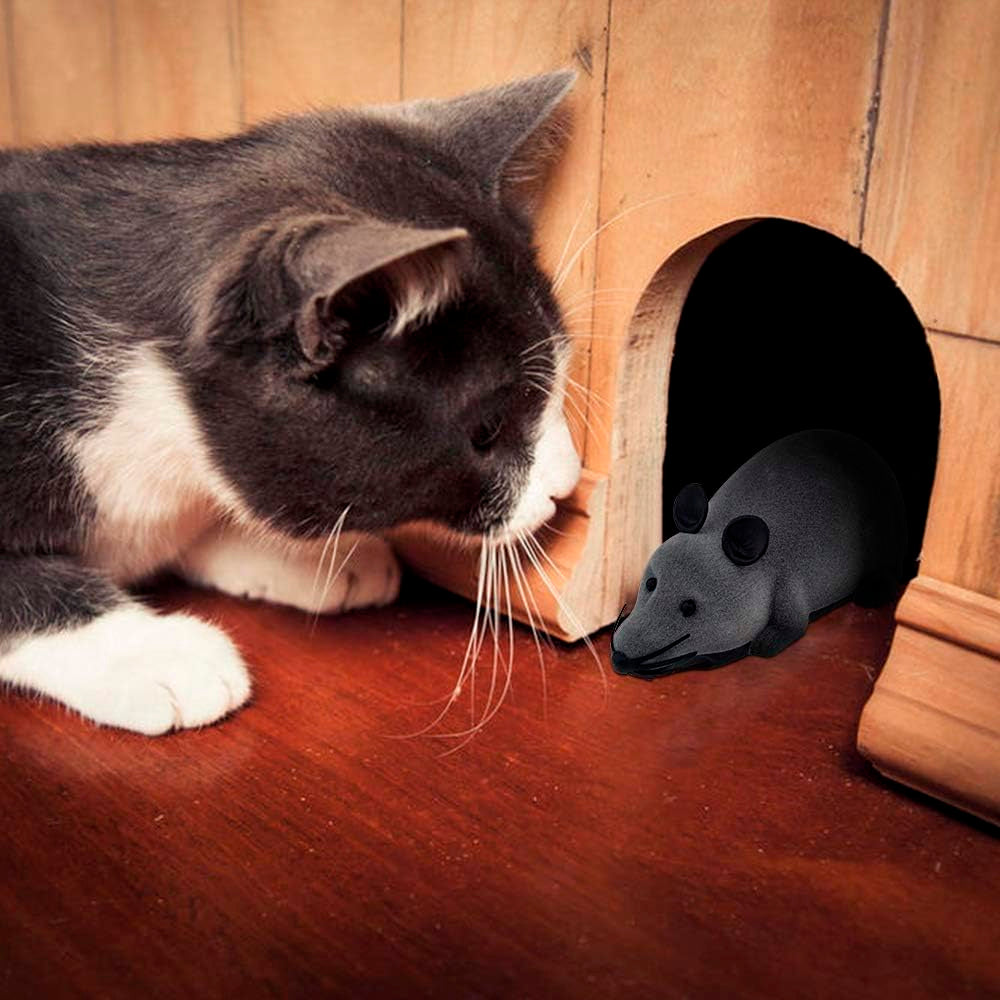 NUEVO RATÓN A CONTROL REMOTO PARA GATOS