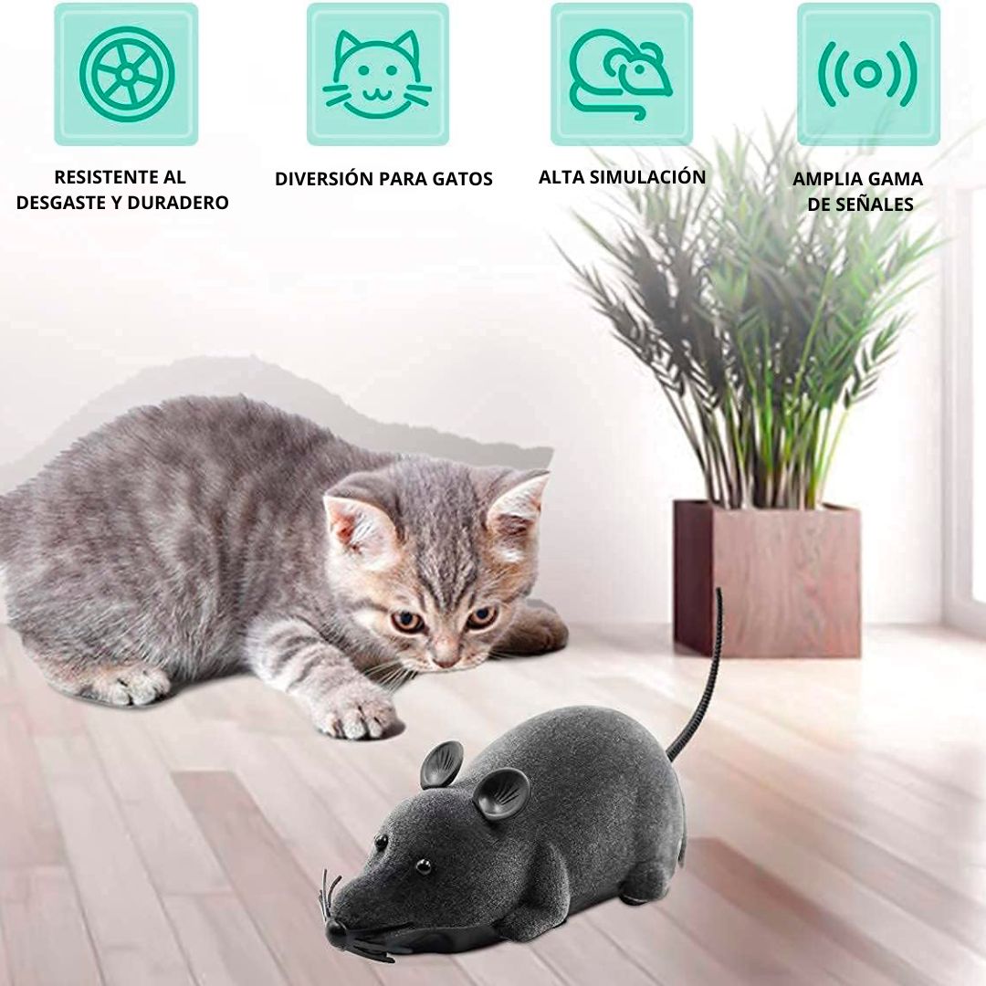 NUEVO RATÓN A CONTROL REMOTO PARA GATOS