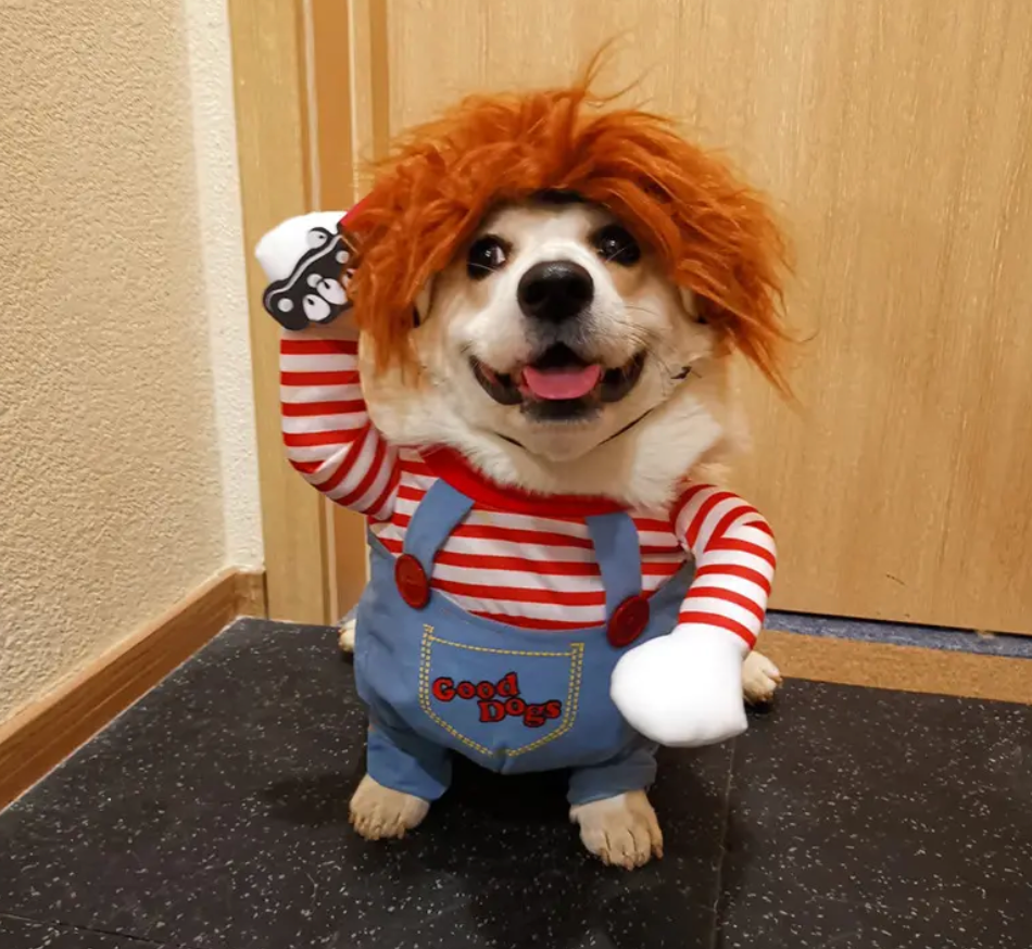 Disfraz Mascotas Chucky Halloween