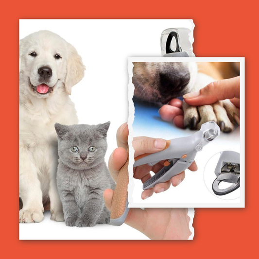 CORTAÚÑAS PARA MASCOTAS CON LUZ