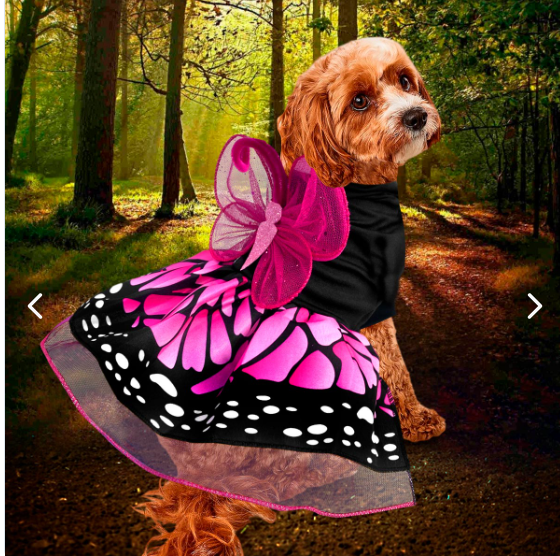 Disfraces Halloween para Mascotas