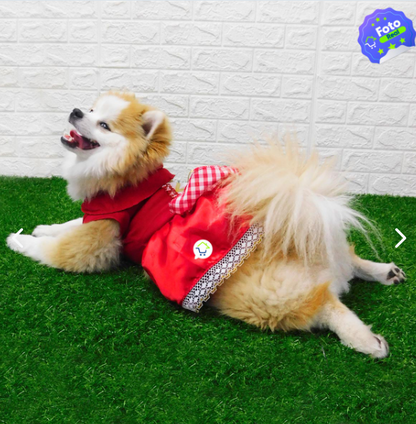 Disfraces Halloween para Mascotas