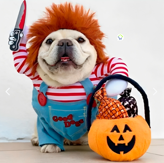 Disfraz Mascotas Chucky Halloween