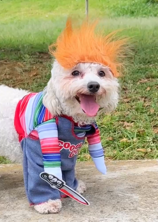 Disfraz Mascotas Chucky Halloween