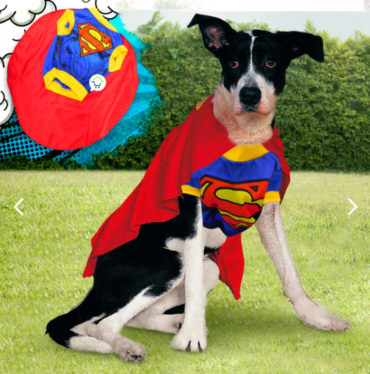 Disfraz Mascotas Súper Man