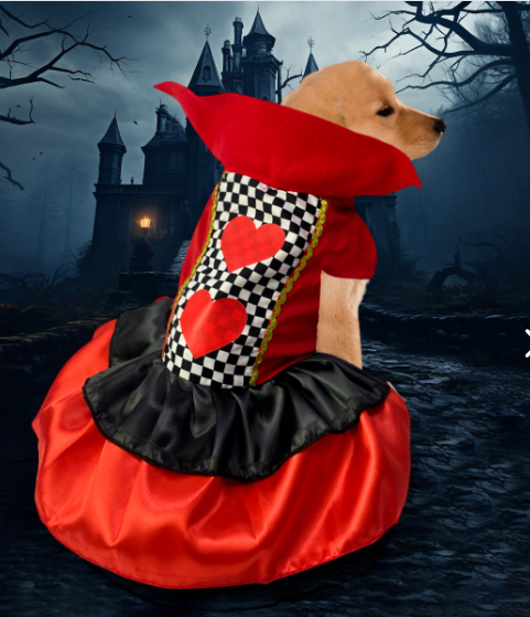 Disfraces Halloween para Mascotas