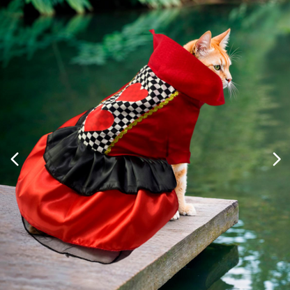 Disfraces Halloween para Mascotas