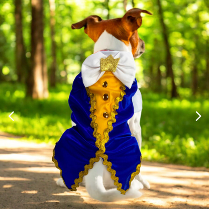 Disfraces Halloween para Mascotas