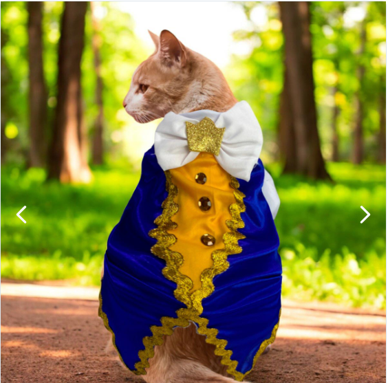 Disfraces Halloween para Mascotas