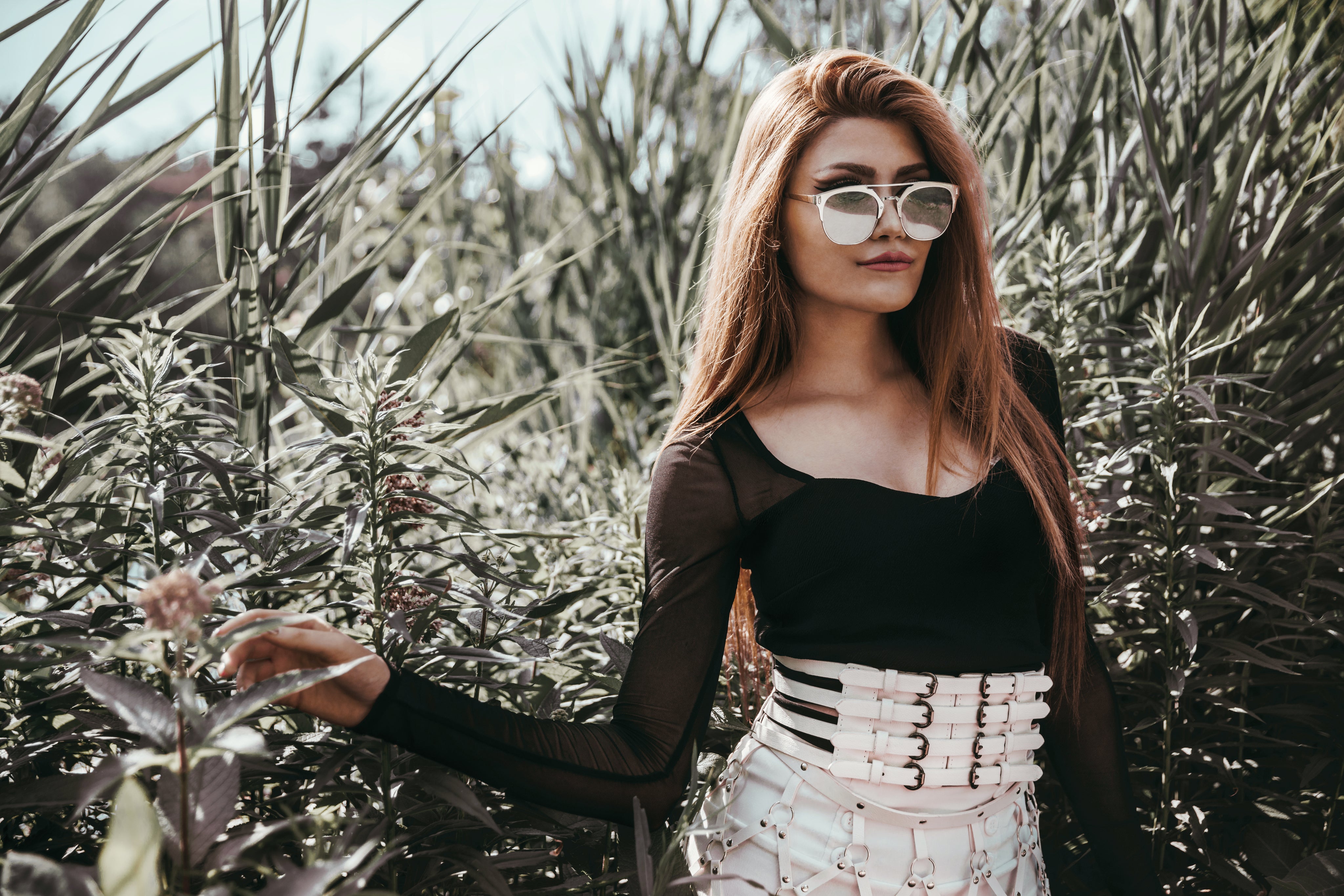 Sofia R.